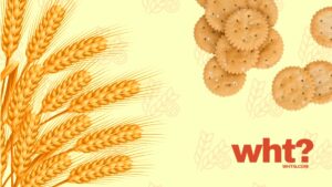 What Does Gluten-Free Mean? Benefits, Foods, and Easy Recipes